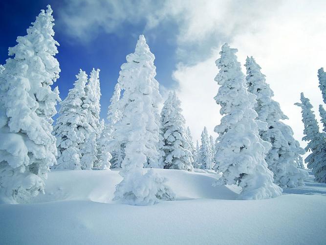 雪中写真 第二辑-风景壁纸-高清风景图片-第18图-娟娟壁纸